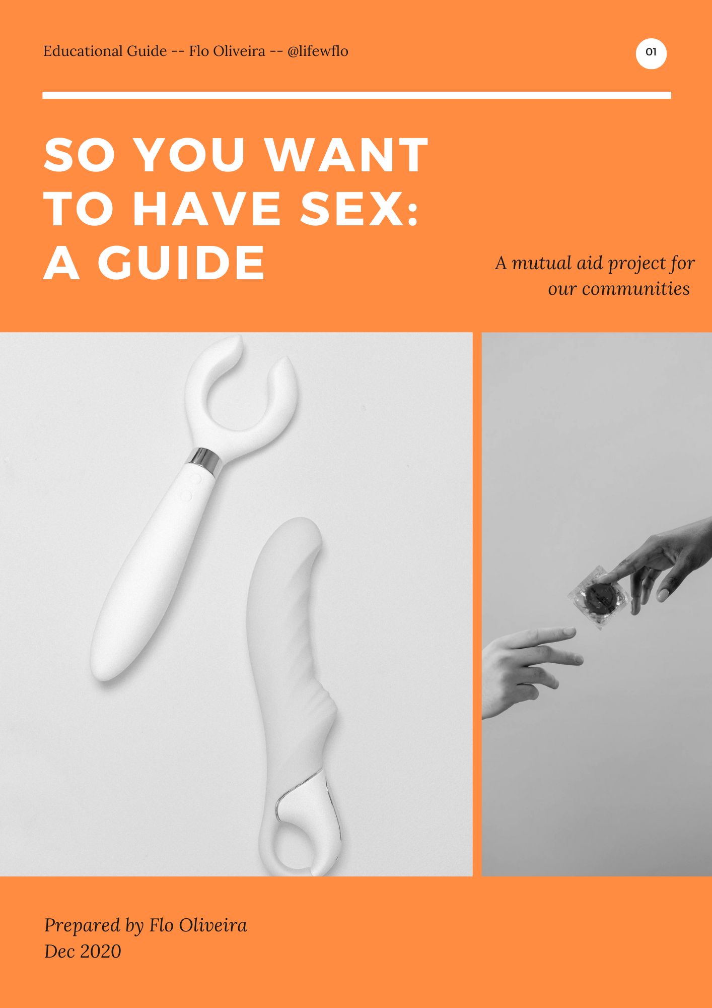 So You Want To Have Sex: A Guide 